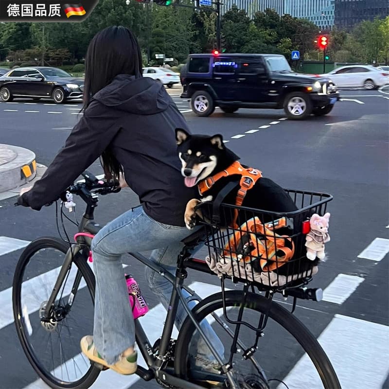 Rack de assento traseiro de bicicleta alemã, rack traseiro de liberação rápida para Mountain Bike, pode transportar pess