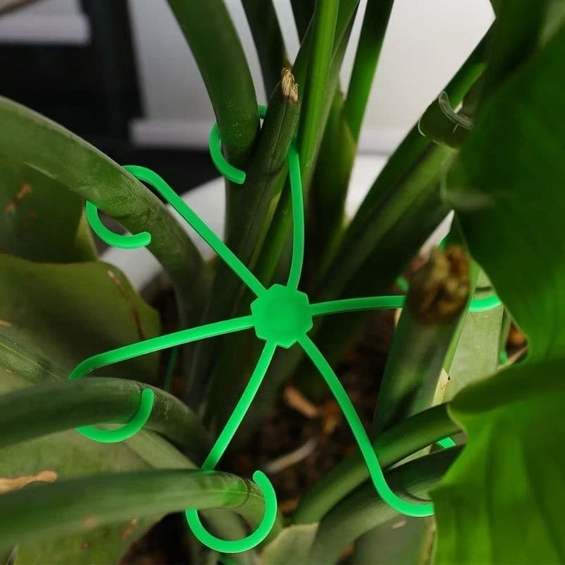 08 Clipe De Fixação grampo De Hastes Plantas Gancho regular