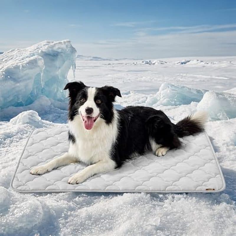 Tapete Refrescante Para Cães ZOMISIA Extra Grande , Q-Max & gt ; Almofada De Caixa Fria Respirável Fina De 0.5 XL Animai