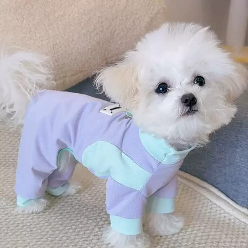 Pet roupas legais pequenos cães de tamanho médio Teddy Bichon cães roupas de verão estilo fino protetor solar roupas de