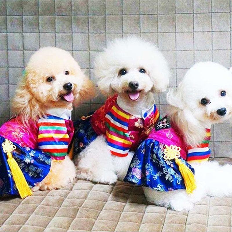 Roupas de verão para cães, roupas de verão, saia Hanbok, bordado tradicional, vestido de princesa para animais de estima