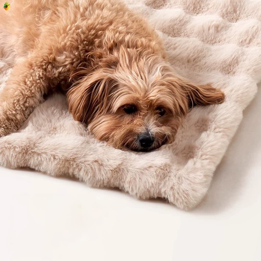 Tapete Engrossado Para Animais De Estimação Com Superfície De Pelúcia Super Macia Fundo Antiderrapante Universal Cães E