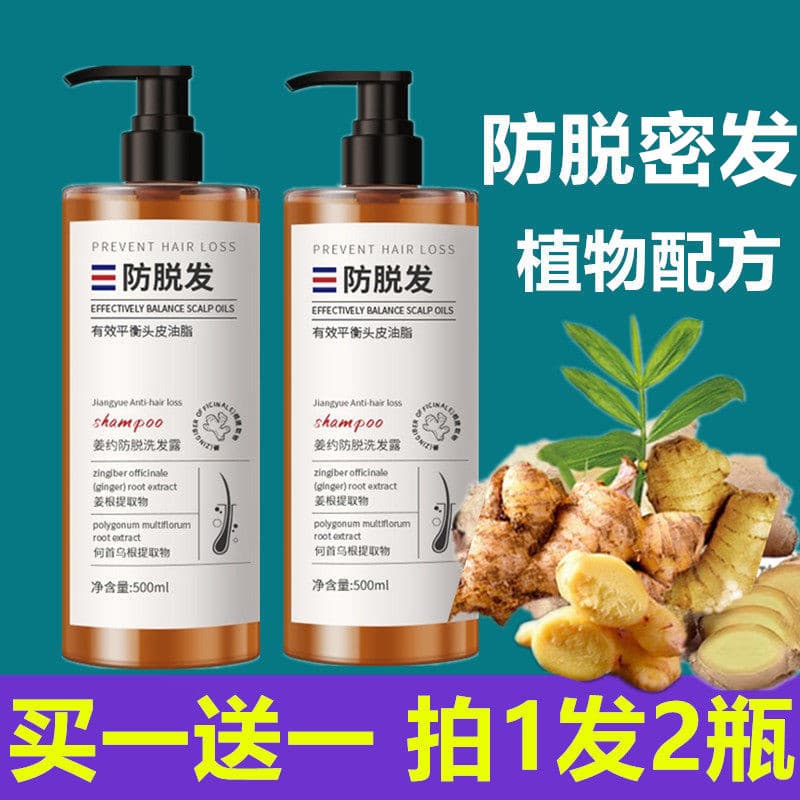 Planta Polygonum Multiflorum gengibre anti-queda de cabelo Shampoo de cabelo denso aumento de cabelo cuidados com o