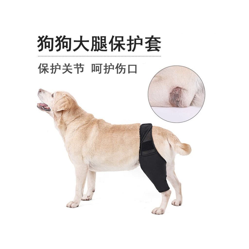 Joelheiras para cães Golden Retriever Joint Bainha Pet Fore-Leg Capa protetora Cotoveleiras Pós-operatórias Anti-Li