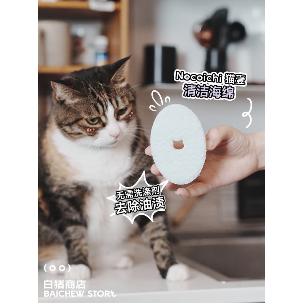 Esponja de lavar louça de uma peça para loja de porcos brancos Gato Um Japão necoichi Pet Cat Dog Pano de limpeza para l