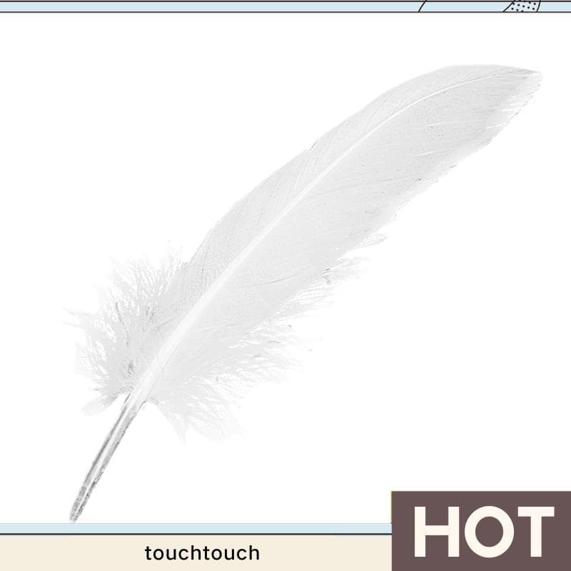 100 Peças Penas Brancas Artesanato De Ganso Para Chapéu De Festa Decoração De Casamento 15-22cm touchtouch1 . br