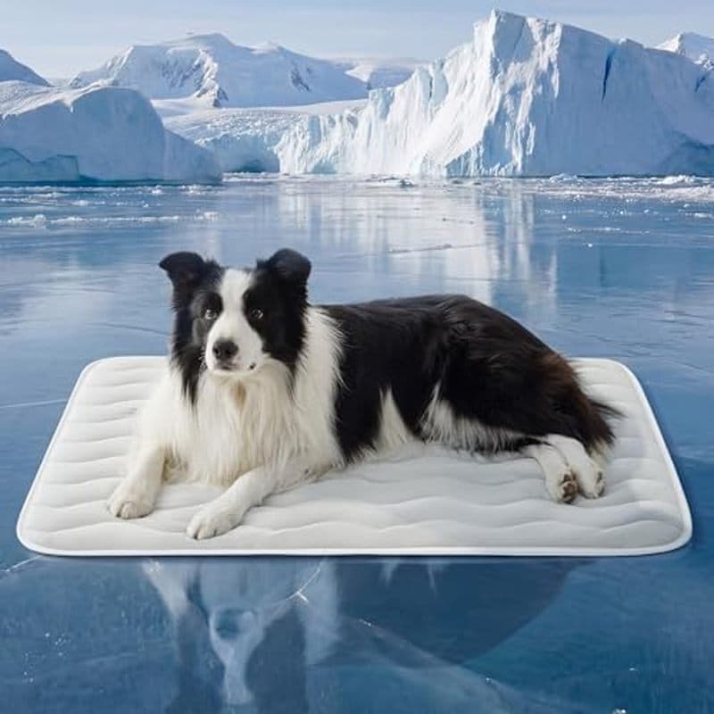 Tapete De Resfriamento Bedsure Para Cães Grandes-Q-Max & gt ; 0.4 Almofada De Caixa Respirável Fina Interna Animais De E