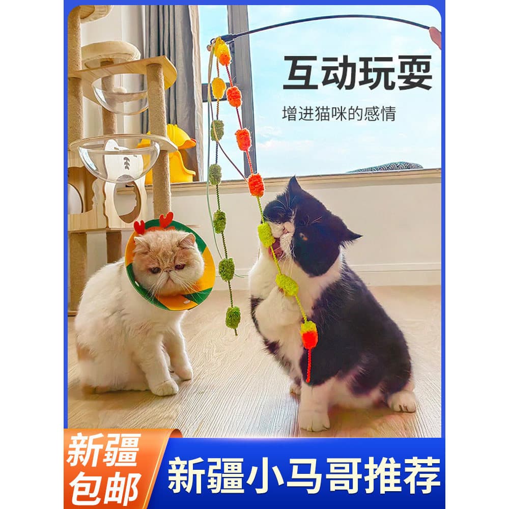 Xinjiang frete grátis brinquedo de gato haste longa pena com sino resistente à mordida provocando gato vara gatinho gato