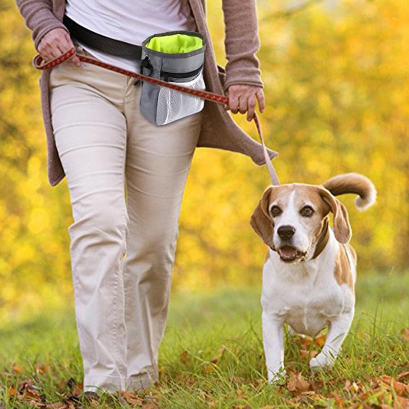 Saco De Treinamento Cão Pet Lanche Suprimentos Filhote De Cachorro Recompensa Cintura Para