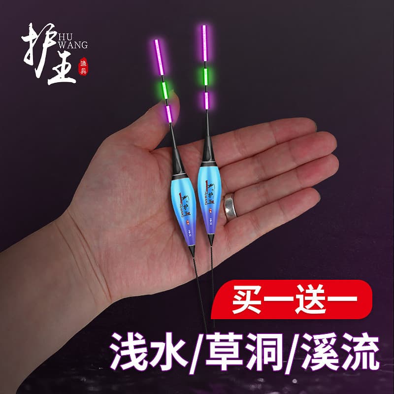 Proteger rei água rasa flutuador luminoso Nano curto flutuador noite pesca Crucian carpa flutuador de alta sensibilidade