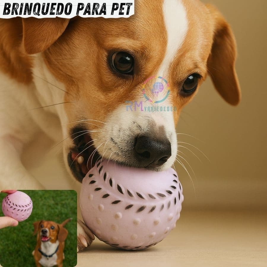 Bola Maciça Brinquedo para Cachorro Bolinha Macia Resistente