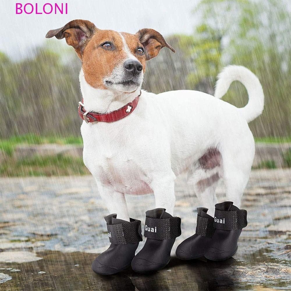 Bota De Borracha Durável Quatro Estações Para Cães Pequenos , Médios E Grandes , Gatos , Filhotes , À Prova D'águ