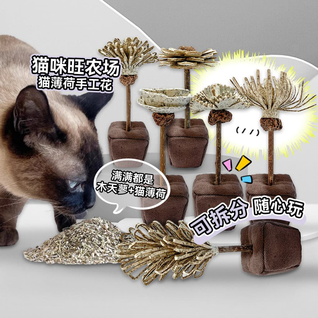 Loja de porco branco gato Wang fazenda papel flor rima gato brinquedo Mutiana Catnip flor artesanal provocando gato vara
