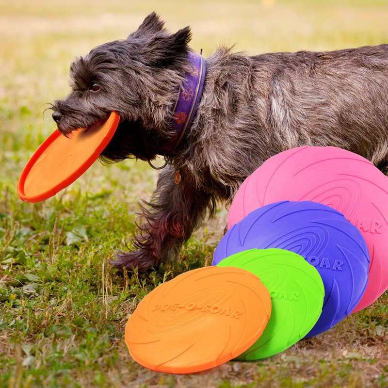 Cão Frisbee dedicado UFO lado Teddy Labra Multilateral pastor resistente à mordida frete grátis grande médio pequeno tam