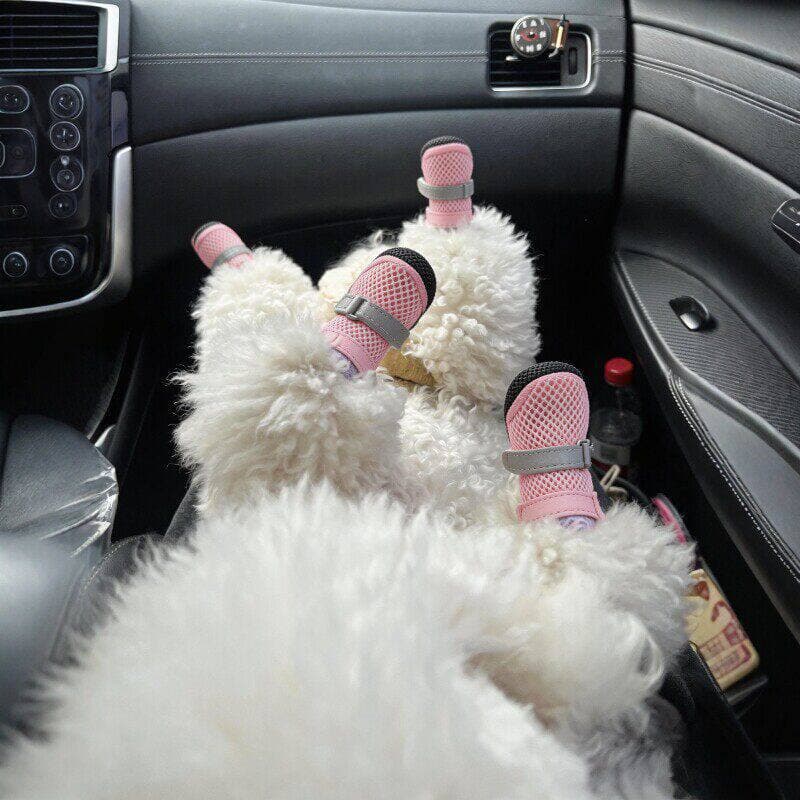 Sapatos para cães sapatos para cachorros com sola macia não pode jogar fora do verão respirável pequeno cão Bichon sapat