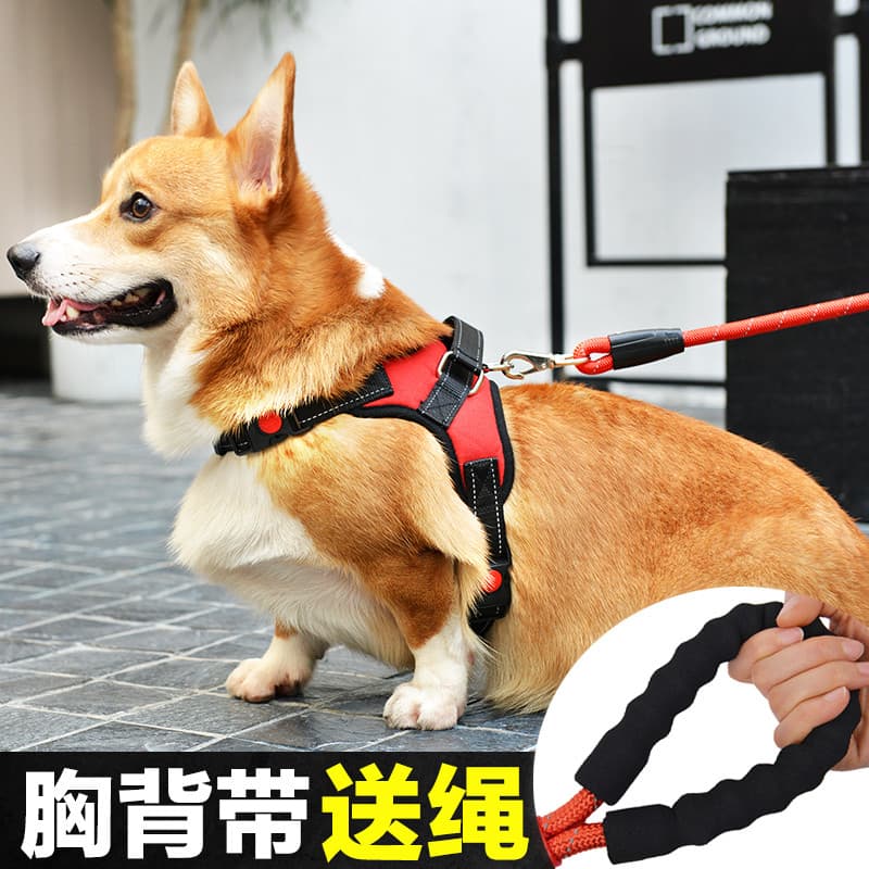 Trela do cão médio pequeno cão andando trela do cão cinta peito colete tipo suprimentos para animais de estimação Corgi