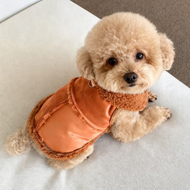 Roupas para cães outono inverno estilo quente camurça colete Teddy Bichon Pomeranian cães pequenos animais de estimação