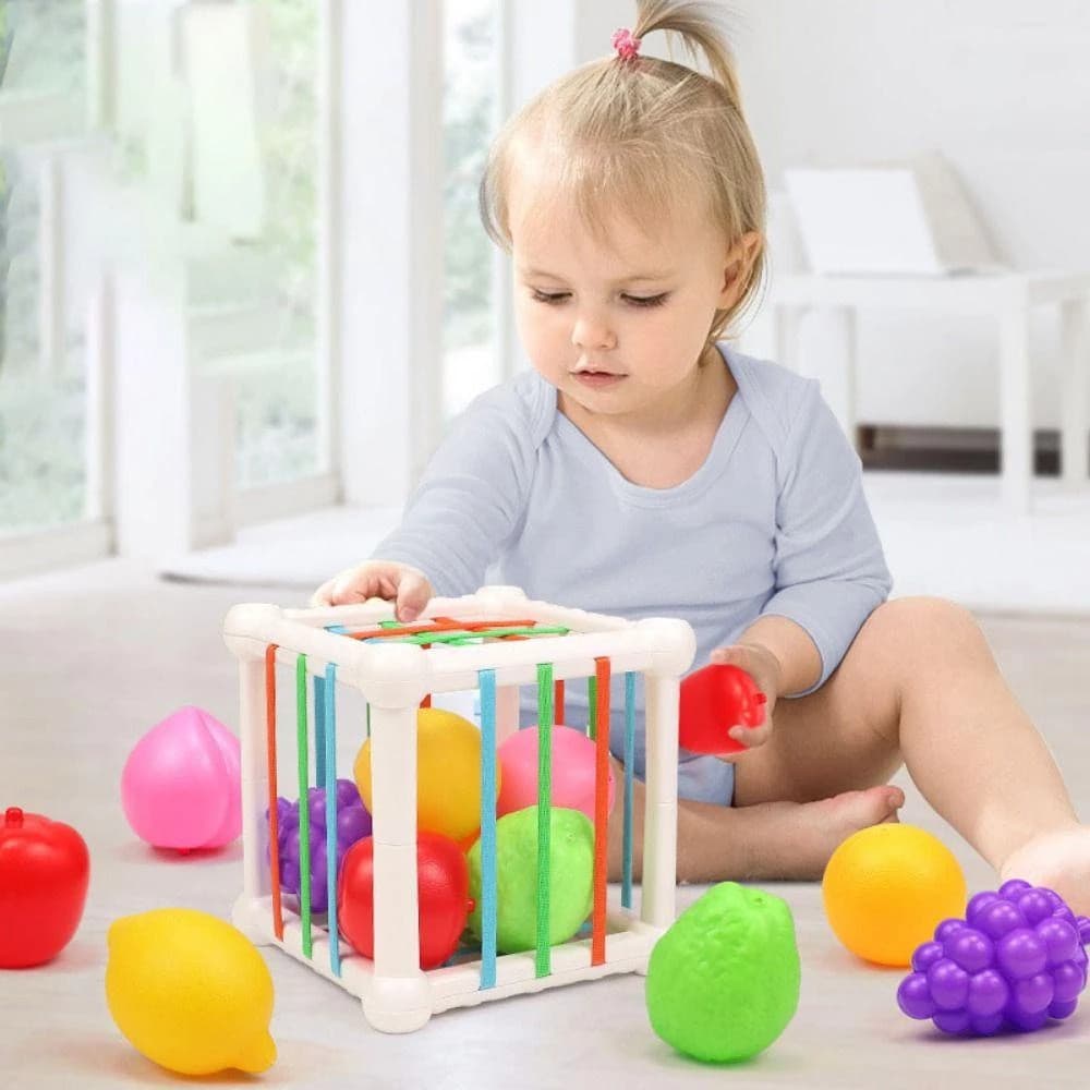Brinquedos Sensoriais Do Bloco De Construção Classificador Da Forma Fruta Bebê , Caixa Cubo Atividade , Educação Montess