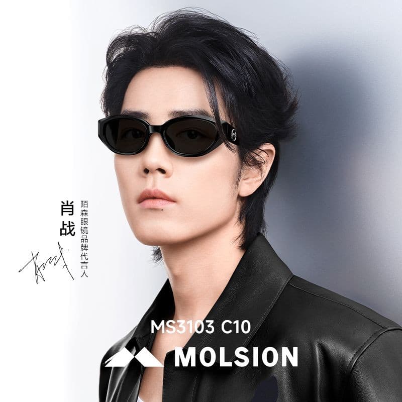 [Xiao Zhan Mesmo Estilo] Mosen Cat Eye Óculos de Sol Feminino Novo Estilo Anti-Ultravioleta Óculos de Sol Polarizados MS