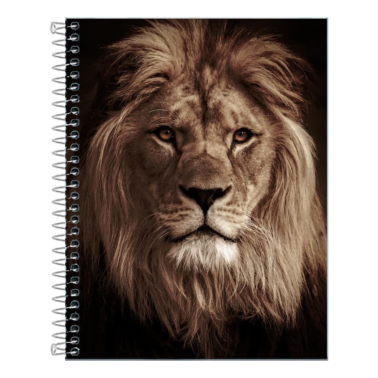 Caderno Leão Capa dura 1 ou 10 Matérias