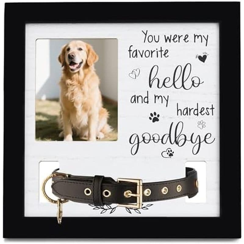 Moldura Memorial Para Coleira De Cachorro , Kit De Impressão De Pata Cães , Presentes Perda Com Suporte , Presente De Le