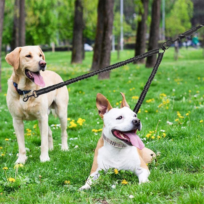 Corda de tração de duas cabeças para cachorro, Anti-emaranhamento, Nylon, elástico, à prova de explosão, fácil caminhada
