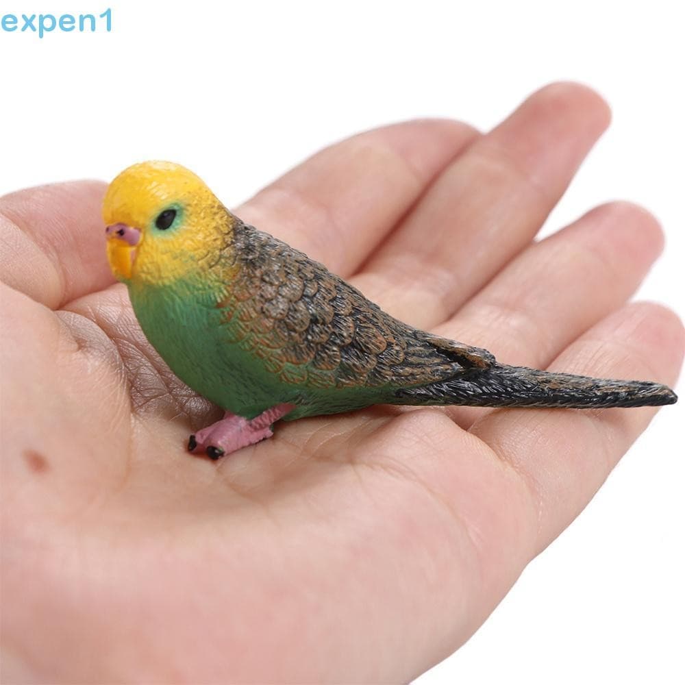 EXPEN Simulado Papagaio Periquito , Estatuetas De Pássaros Em Miniaturas De Plástico , Escritório De Brinquedo Educacion