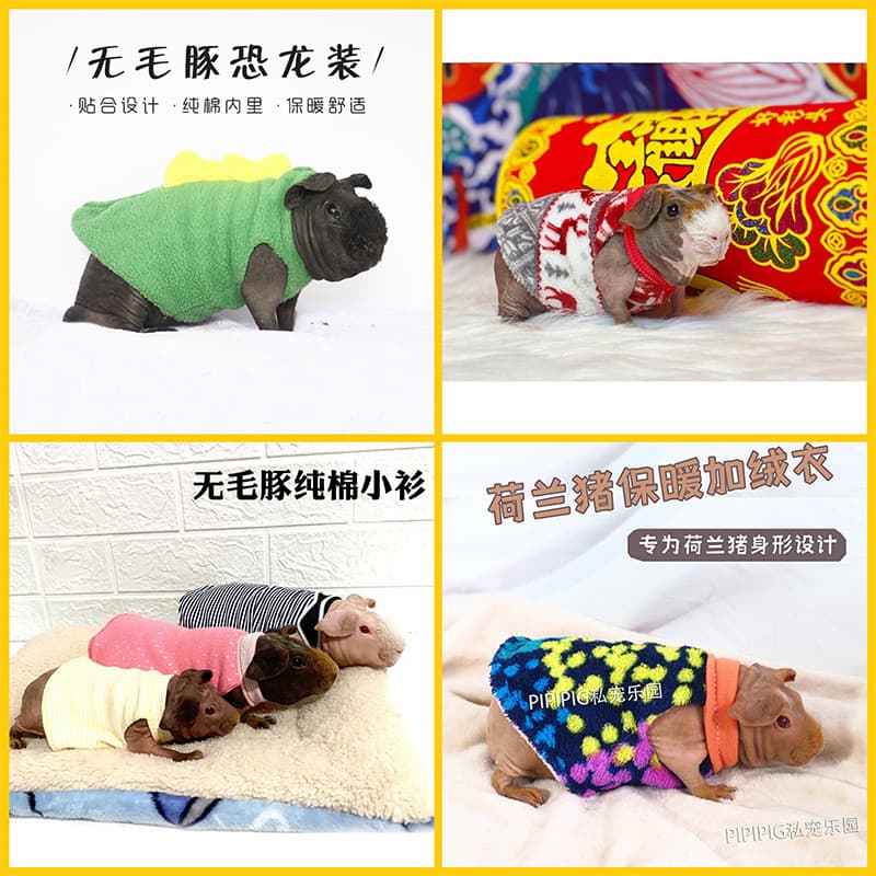 Roupas de cobaia sem pêlos golfinho pequeno hipopótamo Pet esquilo roupas decoração quente roupas de dinossauro