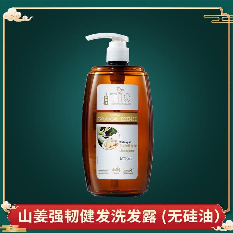Tianshan Shampoo Fortalecedor de Gengibre para Cabelo (Sem Silicone) 750ml Extrato de Gengibre Cabelo Forte Limpo