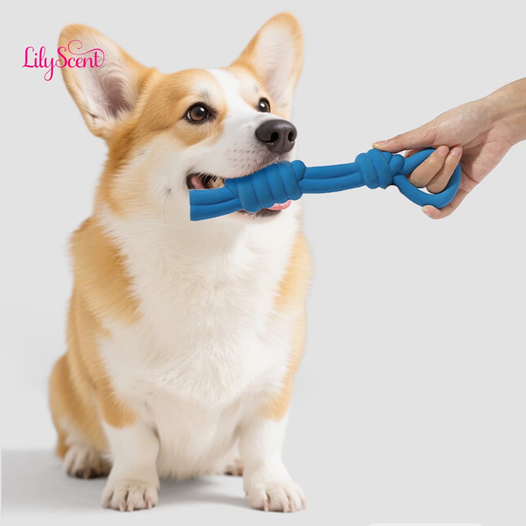 Brinquedo de Borracha Durável para Mastigar com Apito – Resistente a Mordidas, Interativo, Perfeito para a Dentição