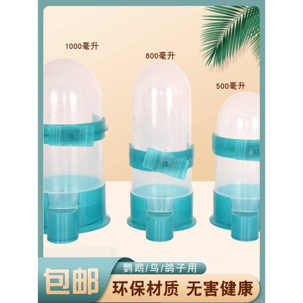 Bebedouro para pombos, alimentador automático, fonte potável para frango, alimentador automático, utensílios para pombos