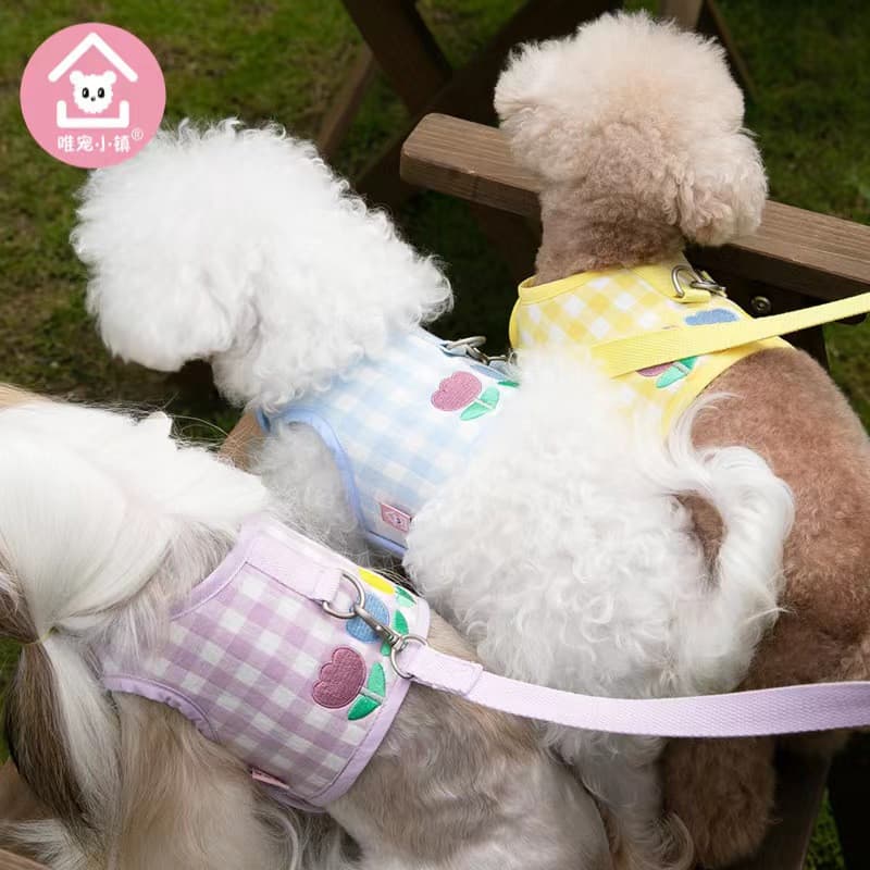 Peitoral com trela para cães de pequeno porte para raças pequenas (Pomerânias, Poodles, Bichon .)