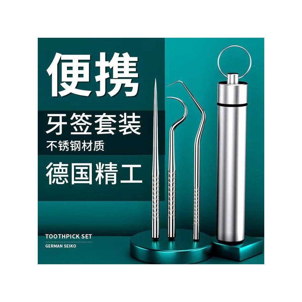 Conjunto de palito de dente de aço inoxidável tipo portátil ferramenta de limpeza cuidados bucais fio dental agulha Inte