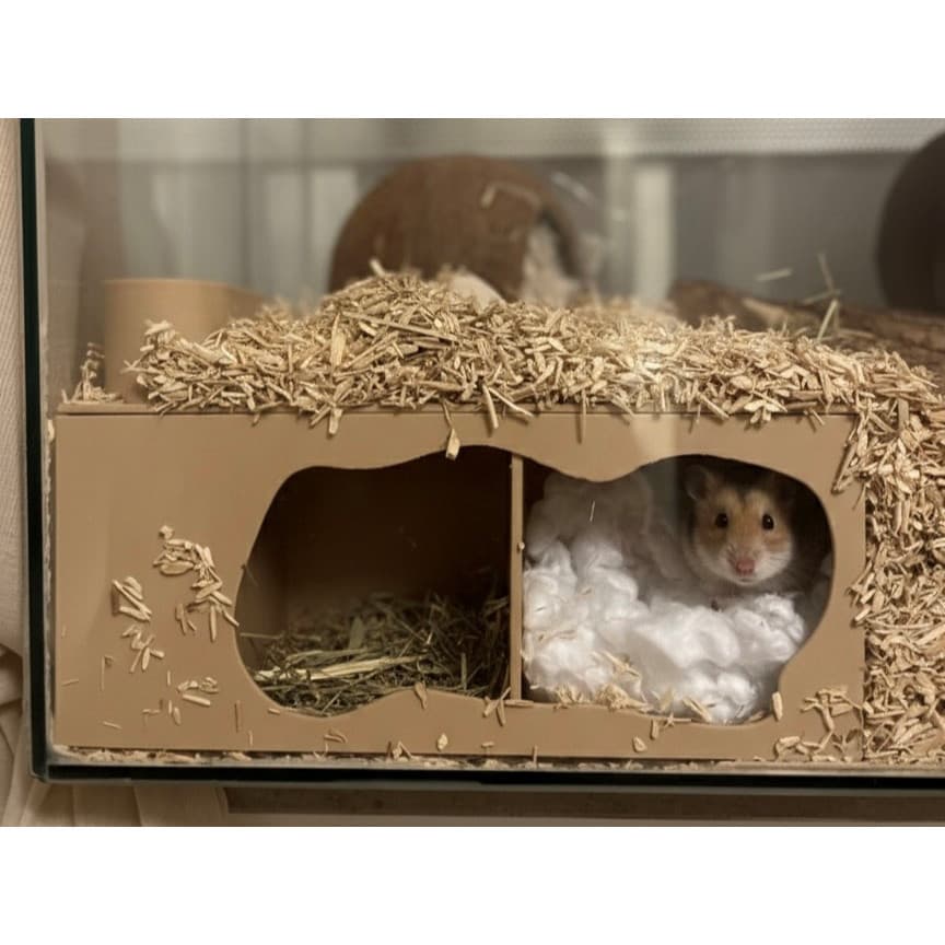Toca Labirinto Subterrâneo Hamster 2 Câmaras Com Visor