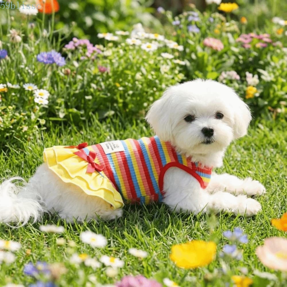 Vestido De Princesa Para Animais De Estimação BLISSC , Saia Listrada De Arco-Íris Fina E Respirável Com Babados , Confor