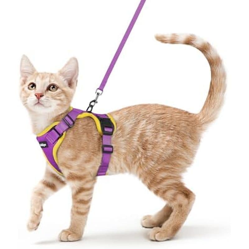 Conjunto De Arnês E Trela Para Gatos À Prova De Fuga Rabbitgoo , M , Preto | Fivelas De Encaixe Rápido Ajustáveis De 4 P