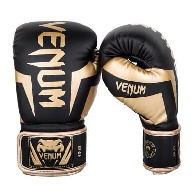 Luvas de boxe 12 oz 2.0WEZX profissionais para treino de Muay Thai