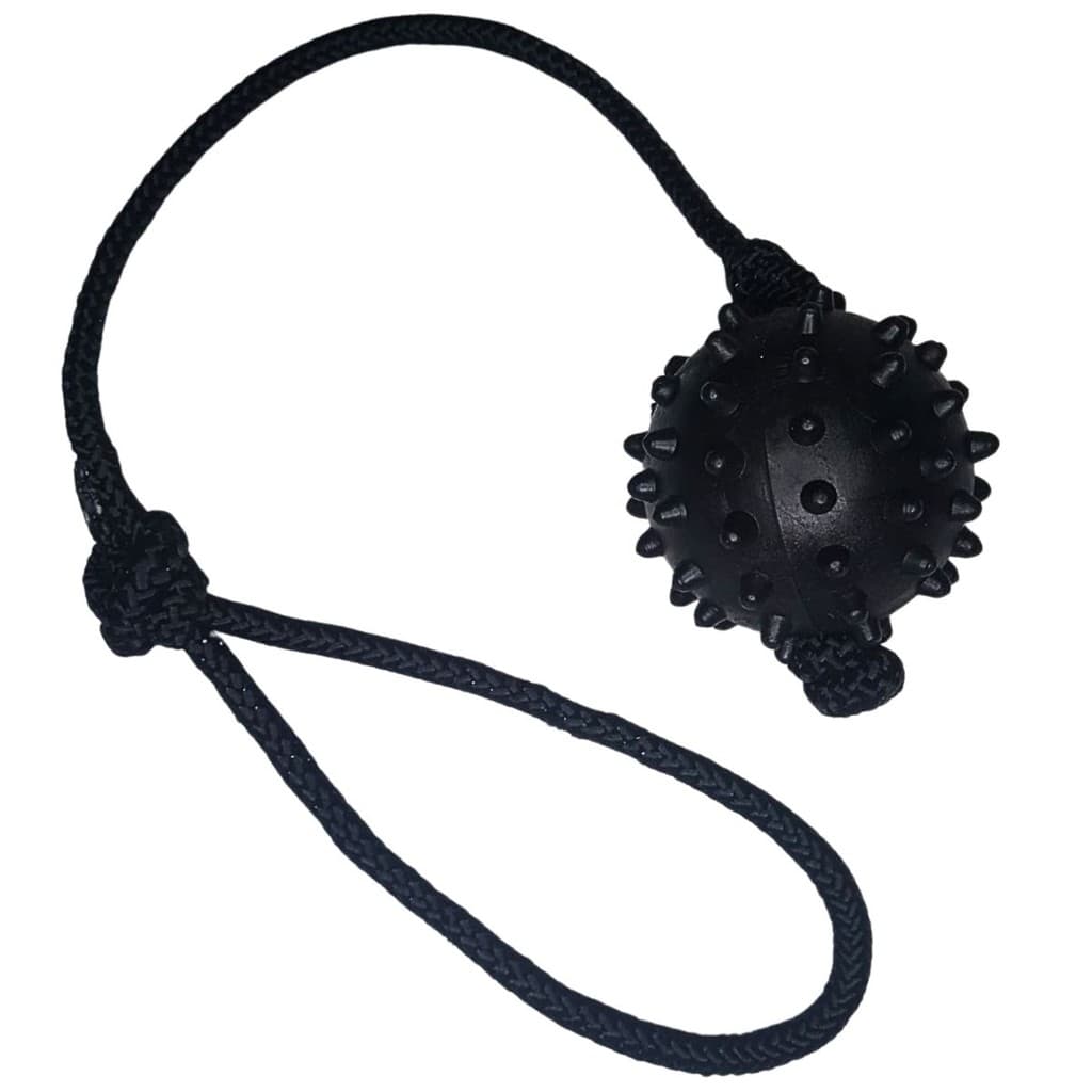 Brinquedo Mordedor Bola Cravo 8cm Maciça Corda Alavanca Resistente Massageia Gengiva Preto