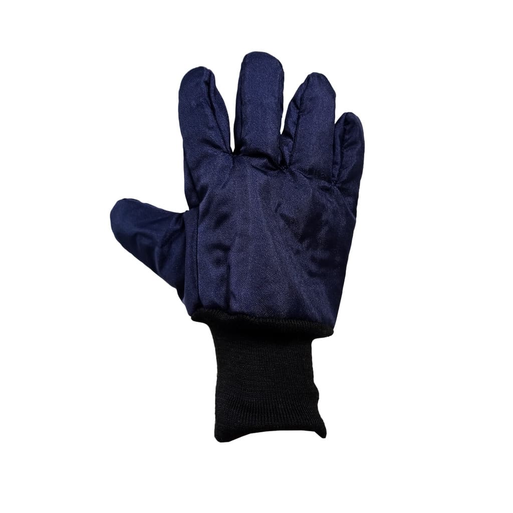 LUVA CAMARA FRIA FORRADA DE NYLON  AZUL CA 10978 MAICOL