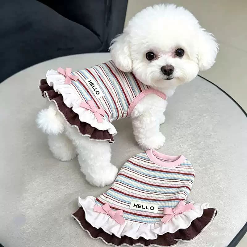 Roupas para cães primavera verão fino doce estilo princesa arco-íris listrado colete de renda pequeno cão Bichon gato de