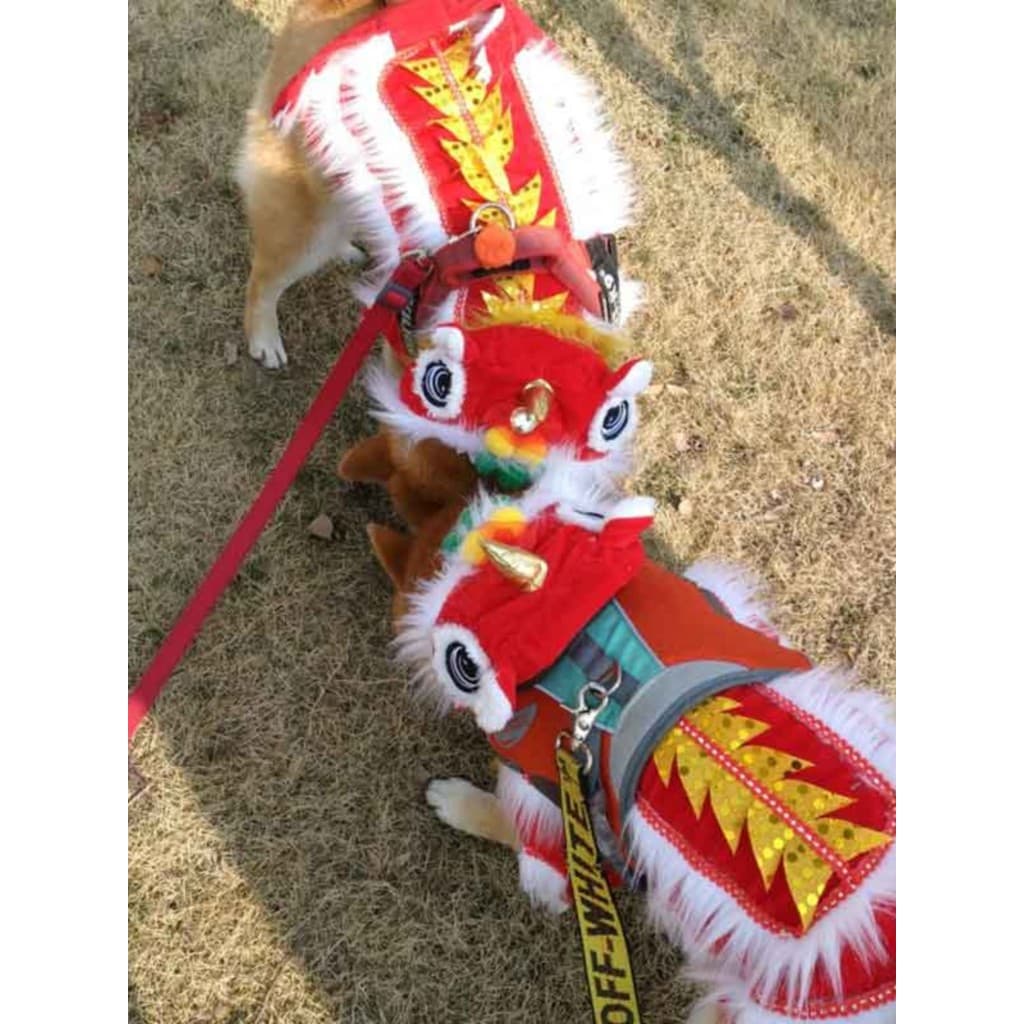 Labrador Golden Retriever Samoyed roupas para cães grande moletom forro de lã outono inverno ano novo chinês roupas de d