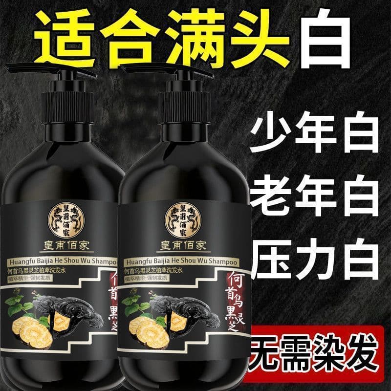 Ganoderma Lucidum Gengibre Cabelo Preto Shampoo para Cabelo Preto Polygonum Shampoo Fixador de Cabelo Preto