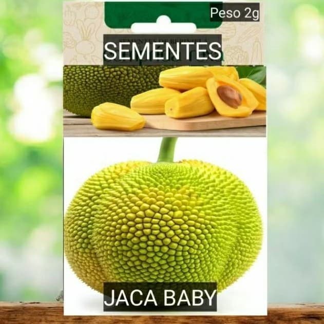 Semente de JACA baby  plante em vaso Jardim  terra OFERTA