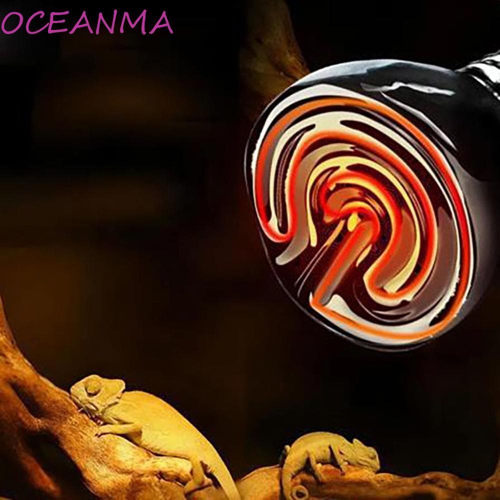 OCEANMA Réptil Lâmpada Mini 1 Peça Material Cerâmico Infravermelho Distante Para Tartaruga , Lagarto , Frango Mantendo Q