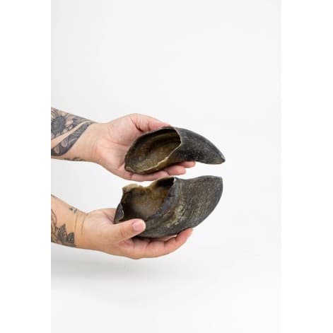 Casco Bufalo Natural Kit 2un O paparico Mordedor Natural cães