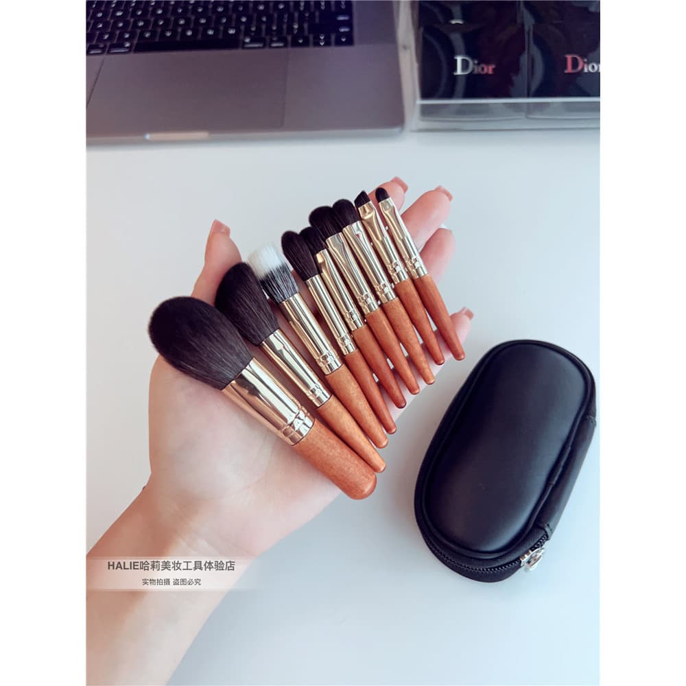 Novo produto lojista recomendado Mini 9 pincéis de maquiagem pincel de sombra cerdas macias pincel de pó solto Blush pin