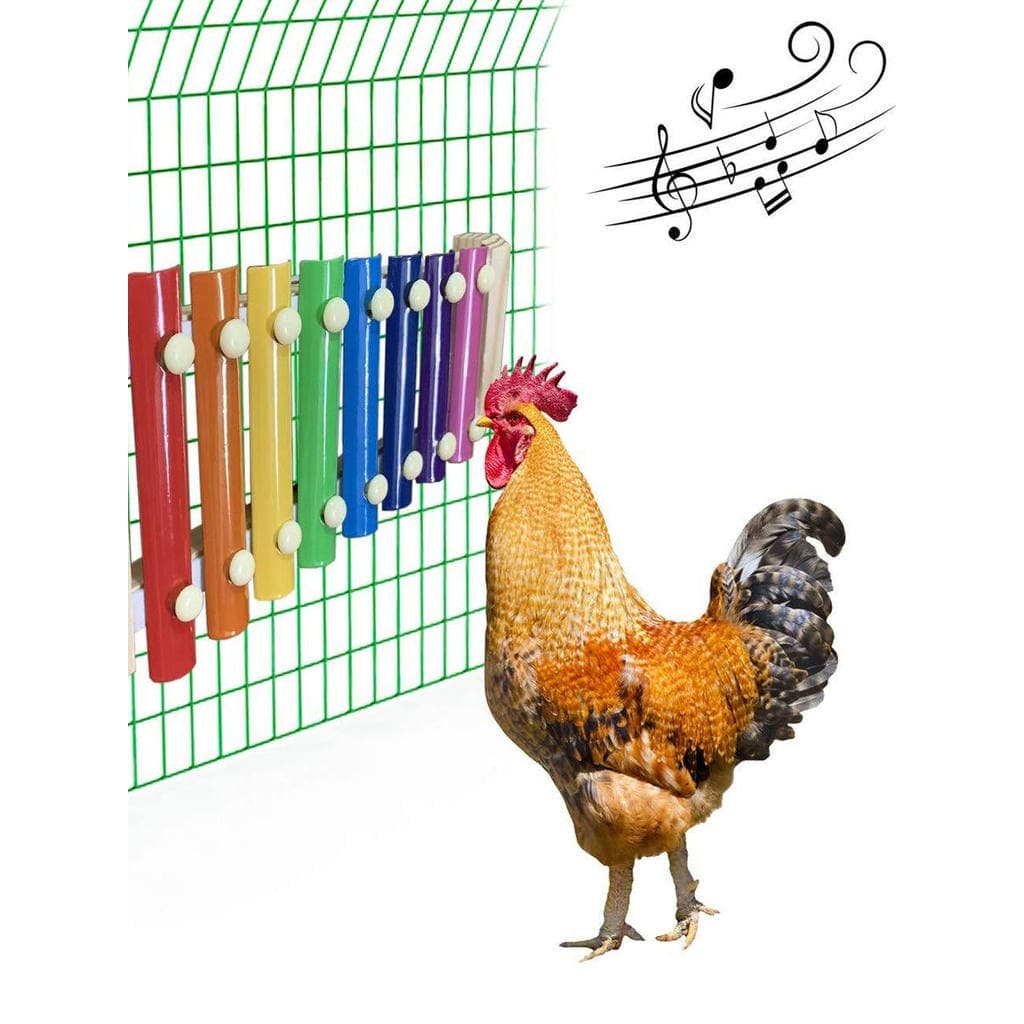 Animal de estimação frango bebê apenas galinha galo xilofone de madeira bater mordida brinquedos musicais casa de frango