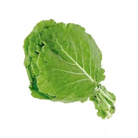 Sementes Premium Couve Manteiga da Georgia (295 sementes) p/ horta Alta Germinação
