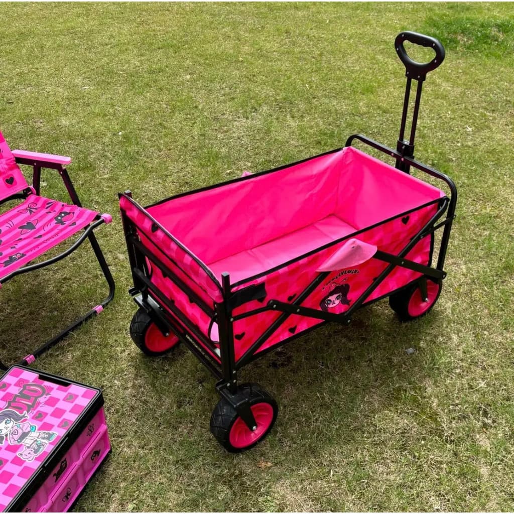 Querida Molly ao ar livre dobrável campista Push-Pull acampamento integrado carrinho estendido andando bebê puxando equi
