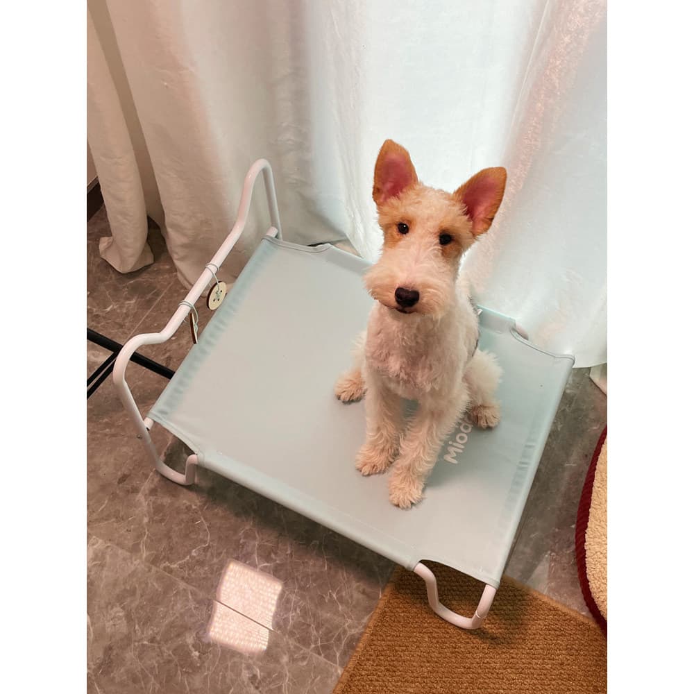Cama de acampamento para cachorro, canil, verão, chão, verão, cama especial para cama, quatro estações, Universal, anima